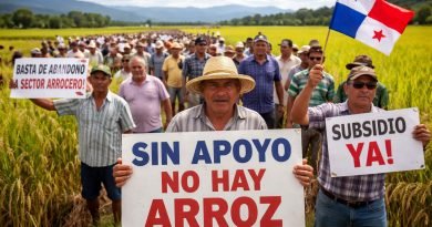 Arroceros advierten “doble golpe”: hay suficiente arroz, pero alza de insumos amenaza producción nacional